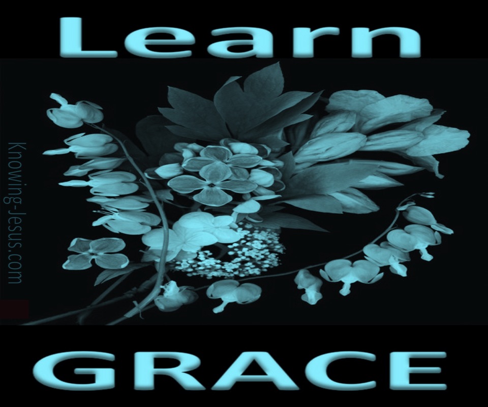 Training in Grace (devotional) (aqua)